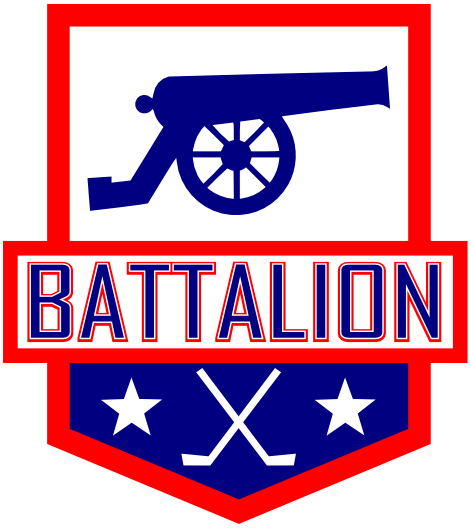 Berkshire Battalion 2014-Pres Primary Logo iron on transfers for T-shirts